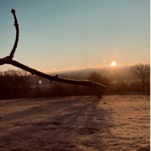 Sonnenaufgang in der Natur.